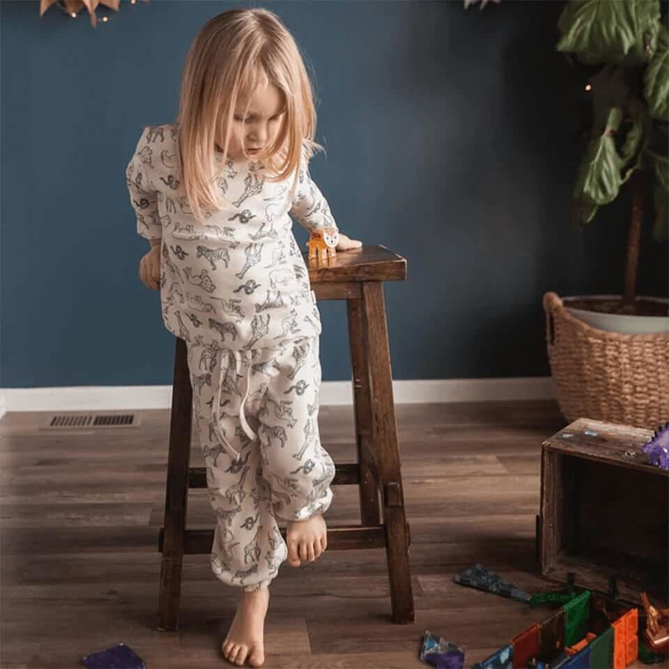 Hayvanlar Alemi Uzun Kollu Set | Eğlenceli ve Rahat Çocuk Kombini